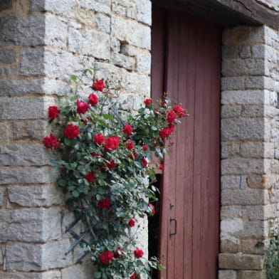 Gîte La Confiance