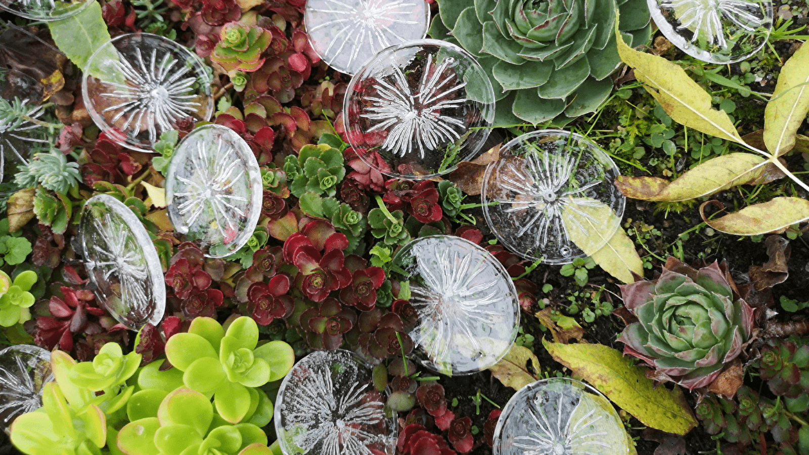 Exposition de fin d'année