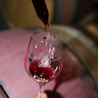 La Paulée de Nuiton-Beaunoy