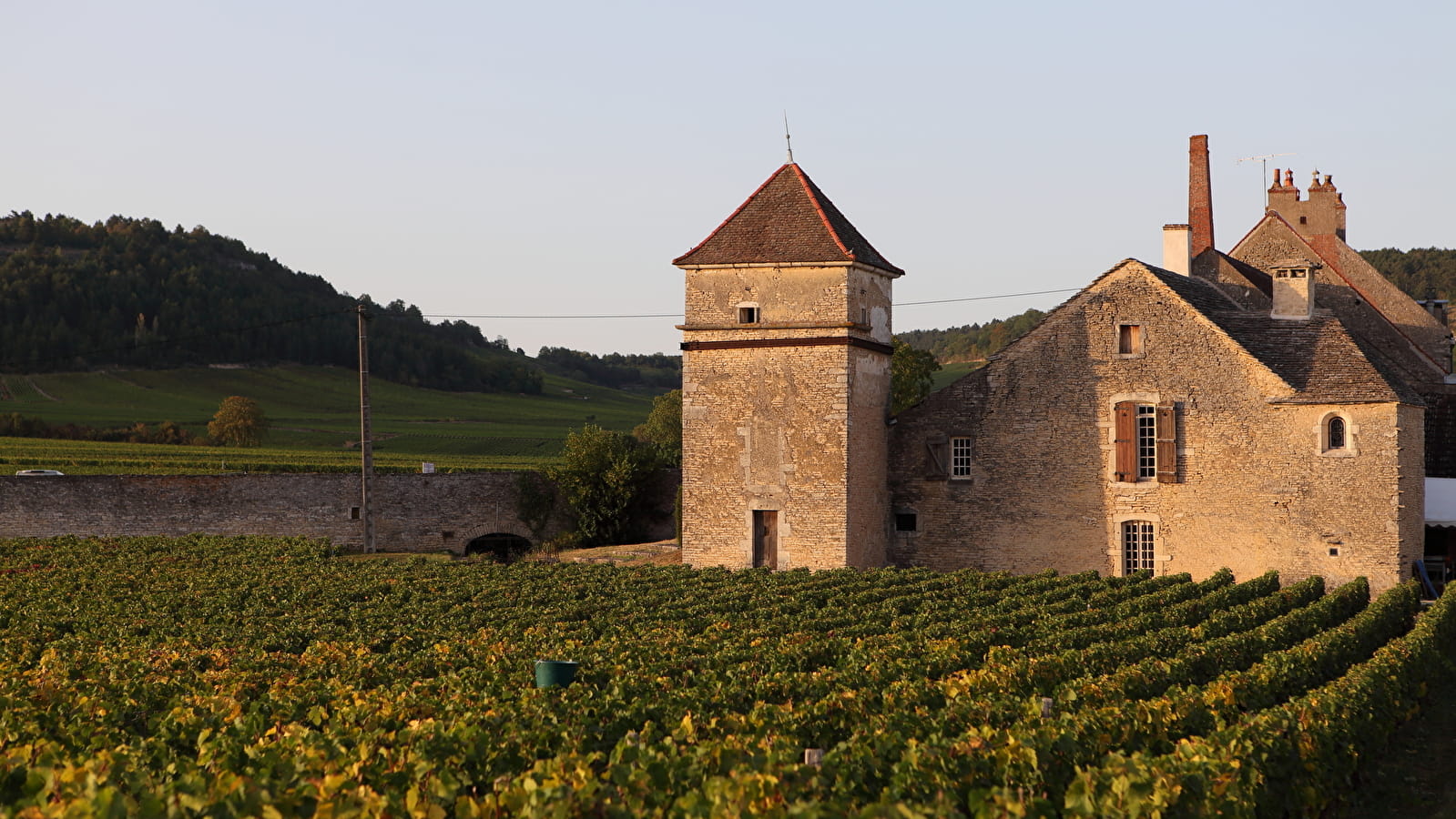 Apéro avec VUE - Clos du Moulin aux Moines