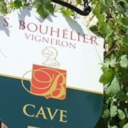 Domaine Sylvain Bouhélier - CHAUMONT-LE-BOIS