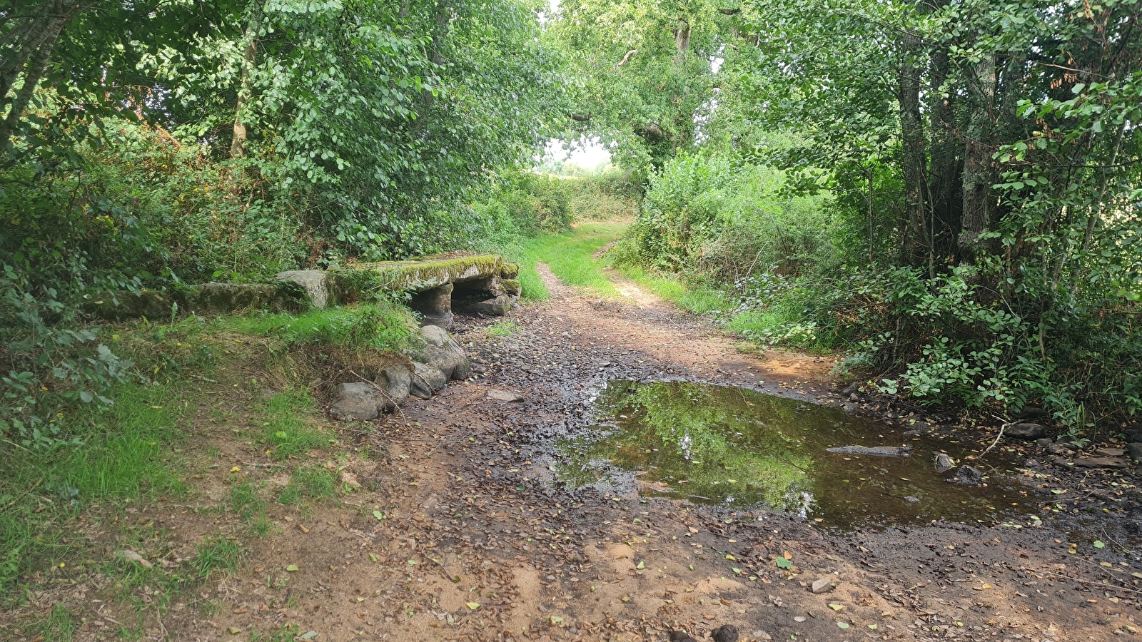 Se déplacer par les chemins de La Roche-en-Brenil