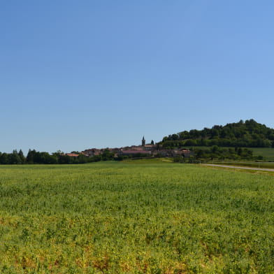 La butte Saint-Siméon de Saulx-le-Duc