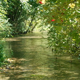 Balades naturalistes sur la nappe de Dijon Sud et de la Cent Fonts - Parcours 1 (Fénay-Saulon-la-Rue) - ENS2025 - FENAY