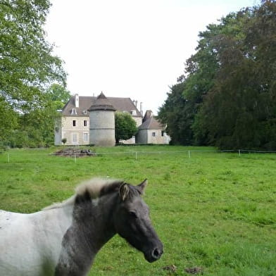 Château de Serrigny