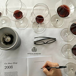 École V - Formations WSET en vins - POMMARD