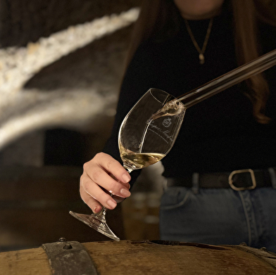 Portes ouvertes au Château de Saint-Aubin : découverte des grands vins de Prosper Maufoux