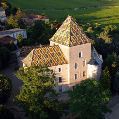 Château Philippe le Hardi