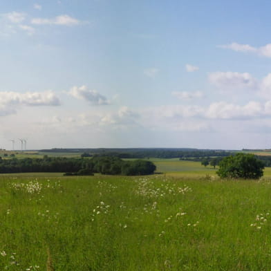 Visite guidée du parc éolien du Pays de Saint-Seine