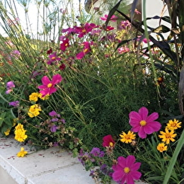 MARCILLY-SUR-TILLE - MARCILLY-SUR-TILLE