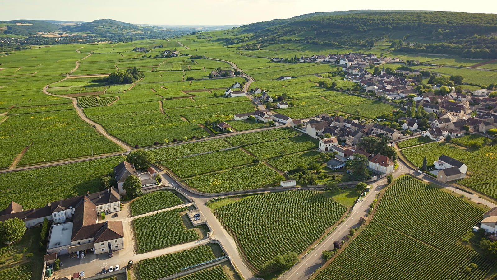 Parcours découverte dans les Climats : Chassagne-Montrachet