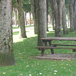 Aire de pique-nique de l'Allée des Tilleuls - SAVIGNY-LES-BEAUNE
