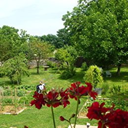 Là-haut - MONTAGNY-LES-BEAUNE