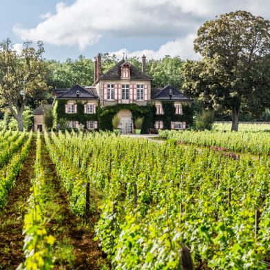 Domaine D'Ardhuy