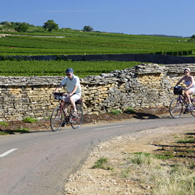 ACTIVE TOURS - Apéro Vélo Vino