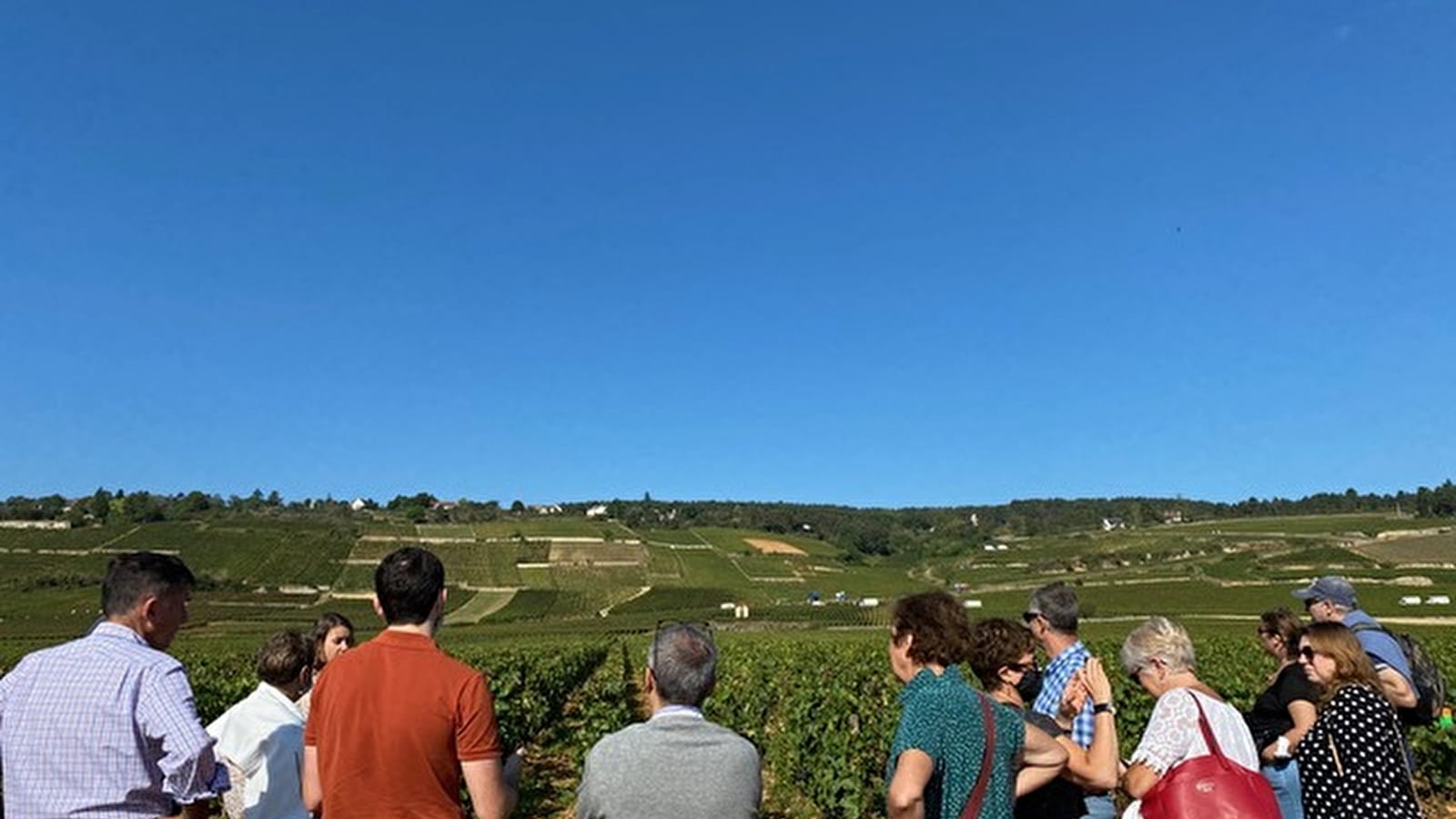Dégustation et visite des climats du vignoble de Beaune