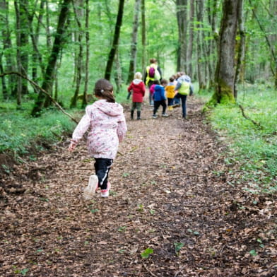 Balade nature en forêt _ENS2024  'sur réservation'