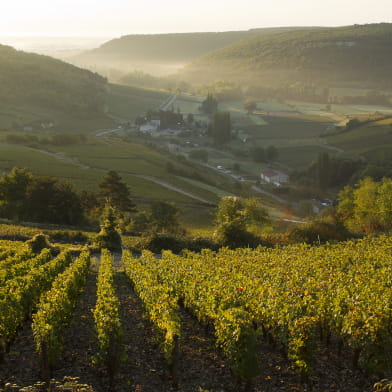 France Montgolfières - Beaune