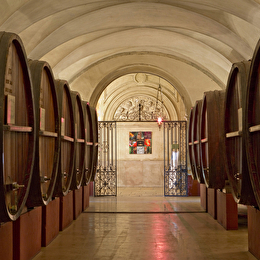 VISITE COMPLÈTE - Beaune Underground : Le plus grand réseau de caves - BEAUNE