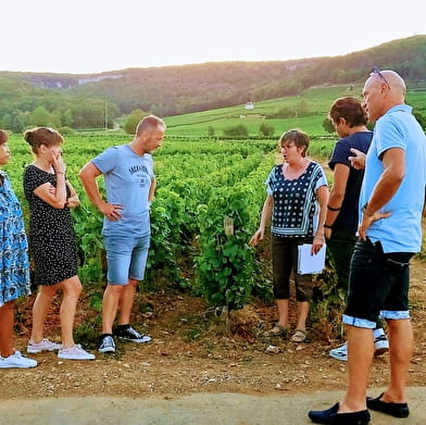 clos de Bourgogne, Master class découverte' Oenologie et dégustation'  des vins de Bourgogne 