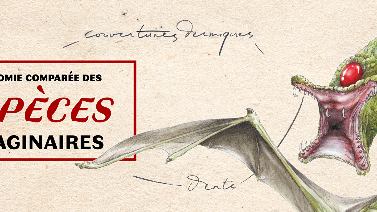 Visite guidée - Anatomie comparée des espèces imaginaires