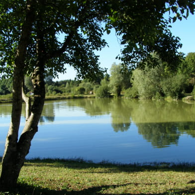 Le camping du Marais