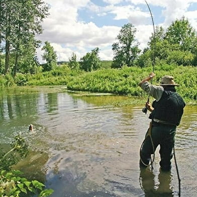 Pêche dans la Tille et l'Ignon