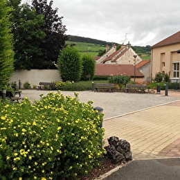 LADOIX-SERRIGNY - LADOIX-SERRIGNY