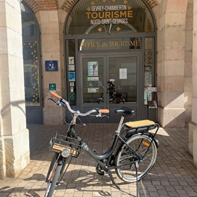 Location de vélo à assistance électrique 