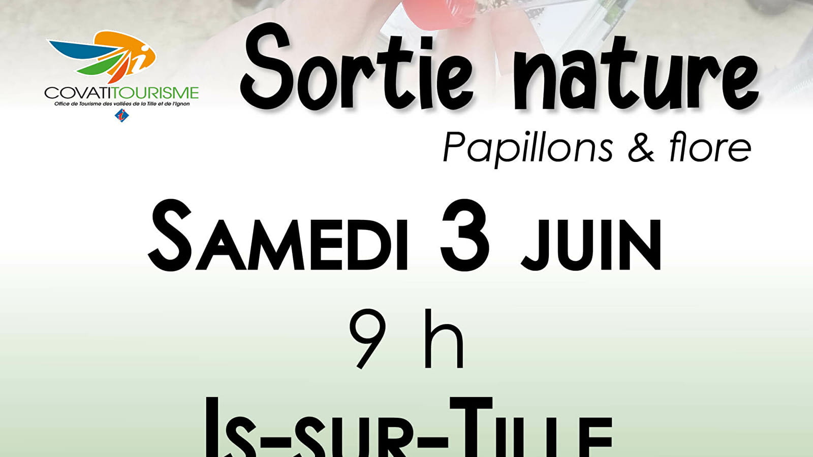 Sortie Nature - Papillons et flore en combe Marcevaux