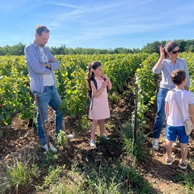 Randonnée viticole à Molesme - Domaine DANGIN