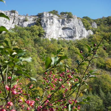 Auberge Saint-Martin