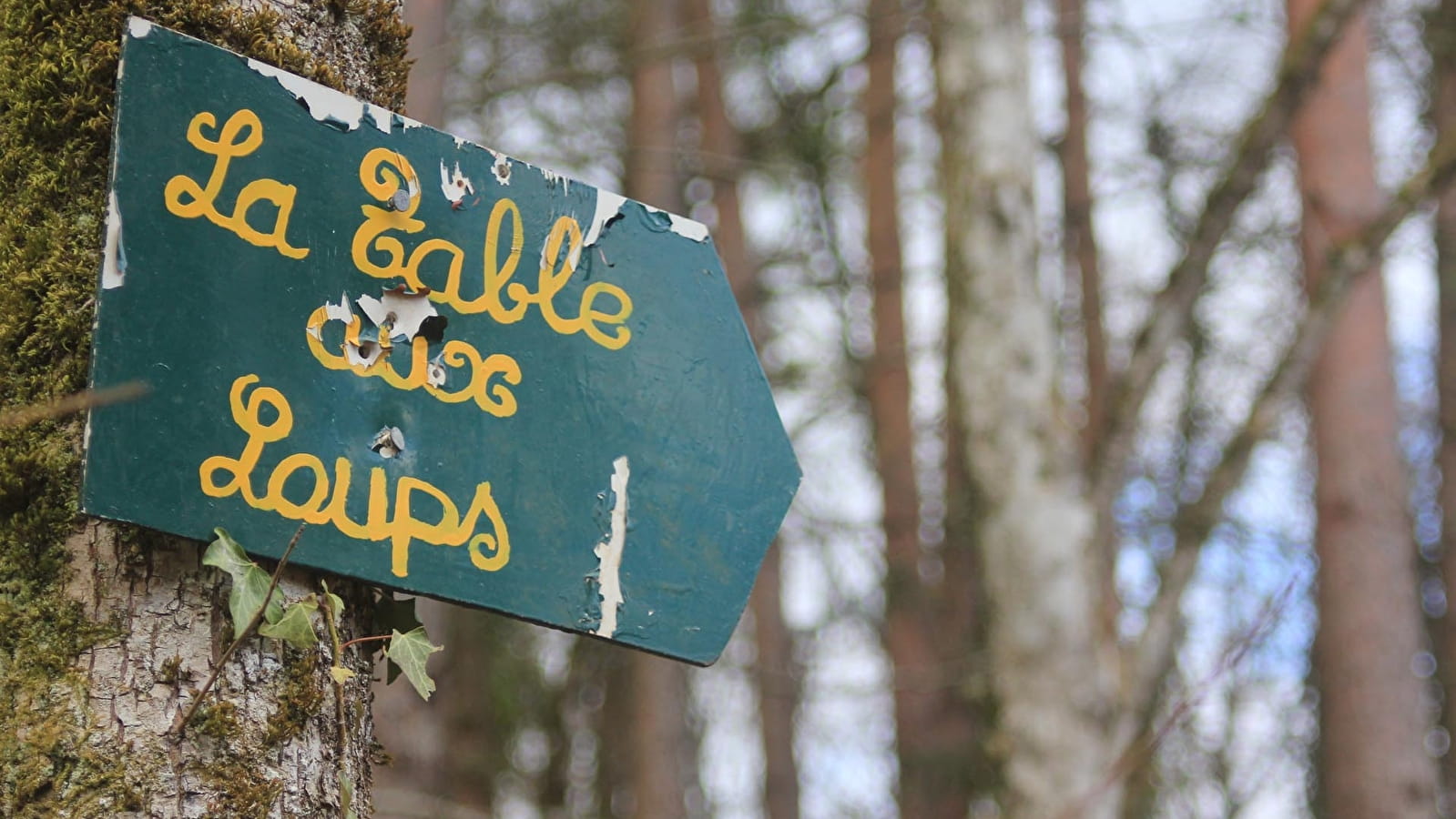 Circuit de la table aux loups