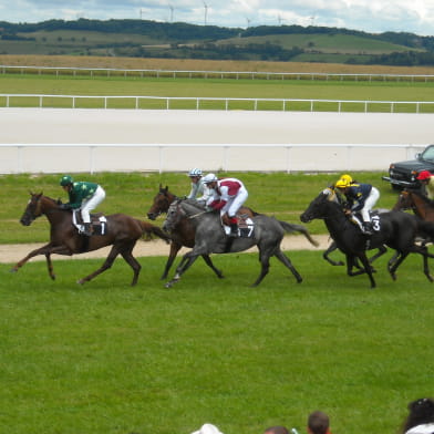 Hippodrome de Vitteaux