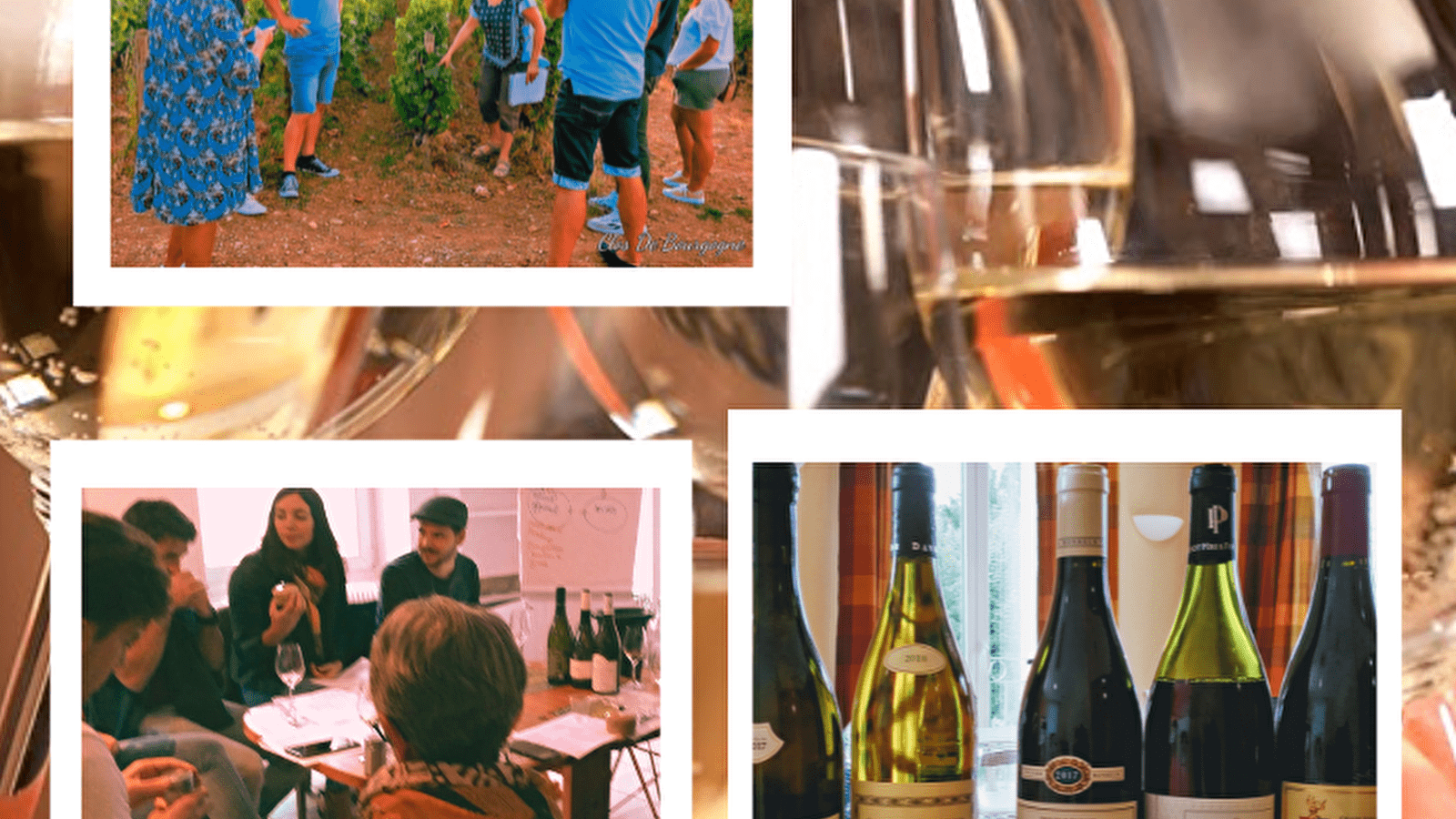 clos de Bourgogne, Master class découverte' Oenologie et dégustation' des vins de Bourgogne