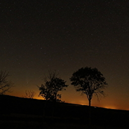 Au cœur de la nuit : la faune de Savilly - SAVILLY