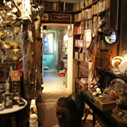 Cabinet de curiosités/musée des Z'Uns Possible - CHAMESSON