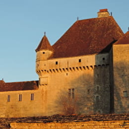 Château de Rosières - SAINT-SEINE-SUR-VINGEANNE