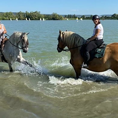 En Equi-Libre - Yoga