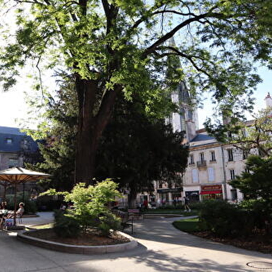 Square des Ducs