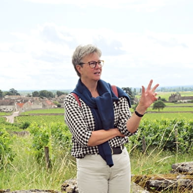 BALADE EN CHARDONNAY - VISITE GUIDÉE DE MEURSAULT