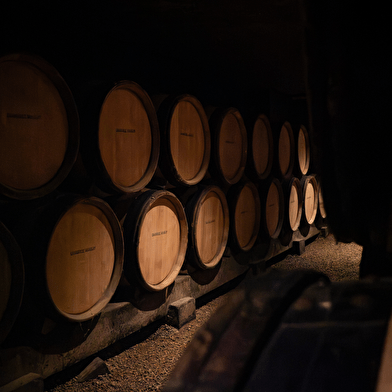 Marché aux Vins - Dégustation Découverte