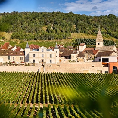 Vignobles en scène : rendez-vous « Vins et Théâtre » au Château de Saint Aubin