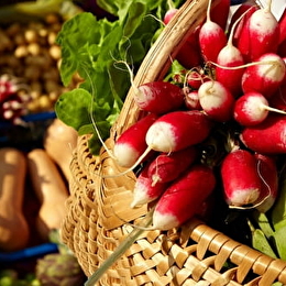 Marché de Nolay - NOLAY