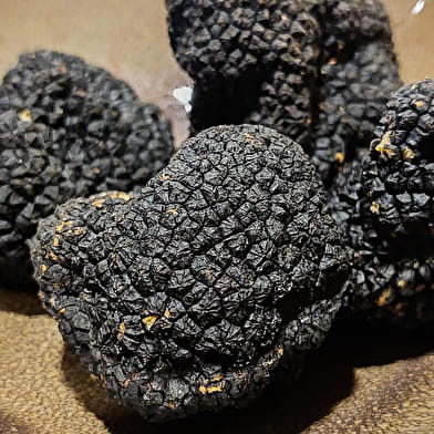 Formule déjeuner Premium « Vallée de la Gastronomie »