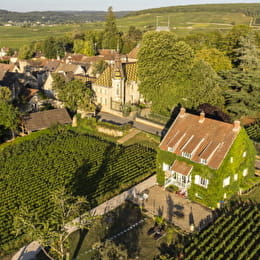 La Passerelle des Corton - ALOXE-CORTON