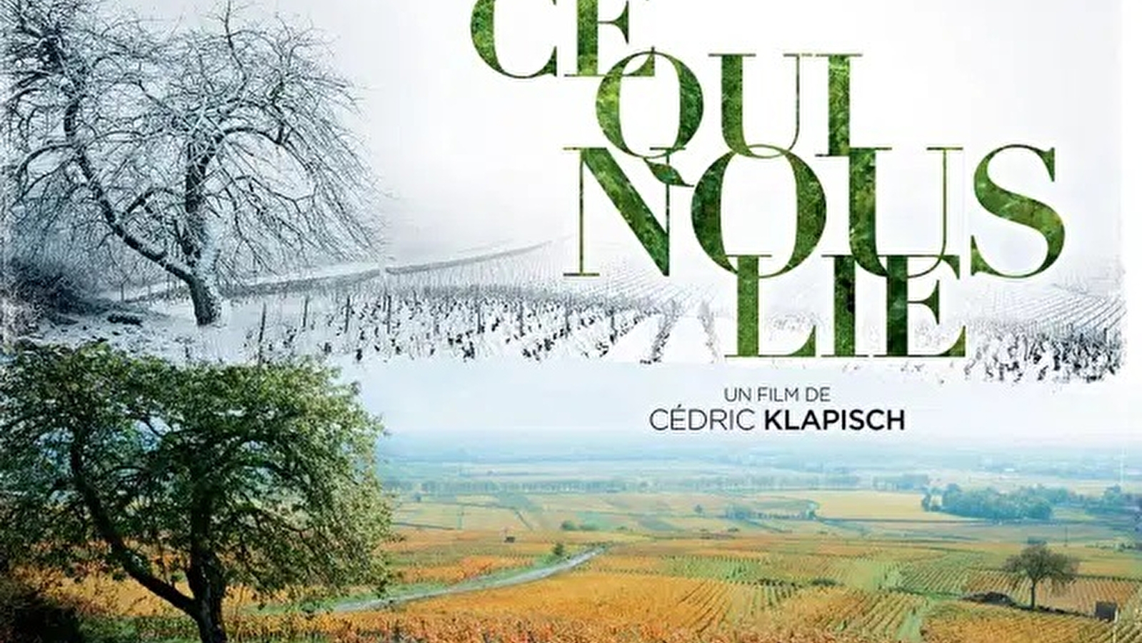 Projection du film 'Ce qui nous lie'