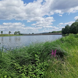 Observatoire ornithologique - ROUVRES-SOUS-MEILLY