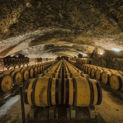 Active Tours : Les vignobles en vélo de Beaune à Mâcon