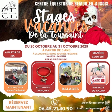 Stage équestre